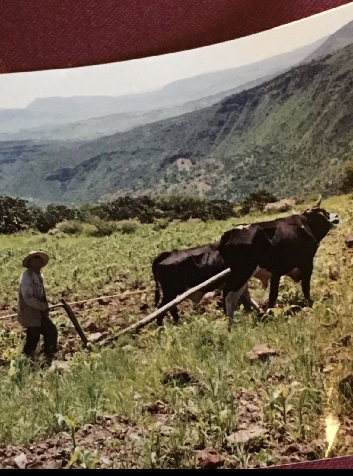 The land we come from