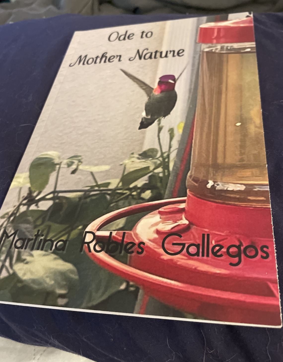 Cover of Ode to Mother Nature